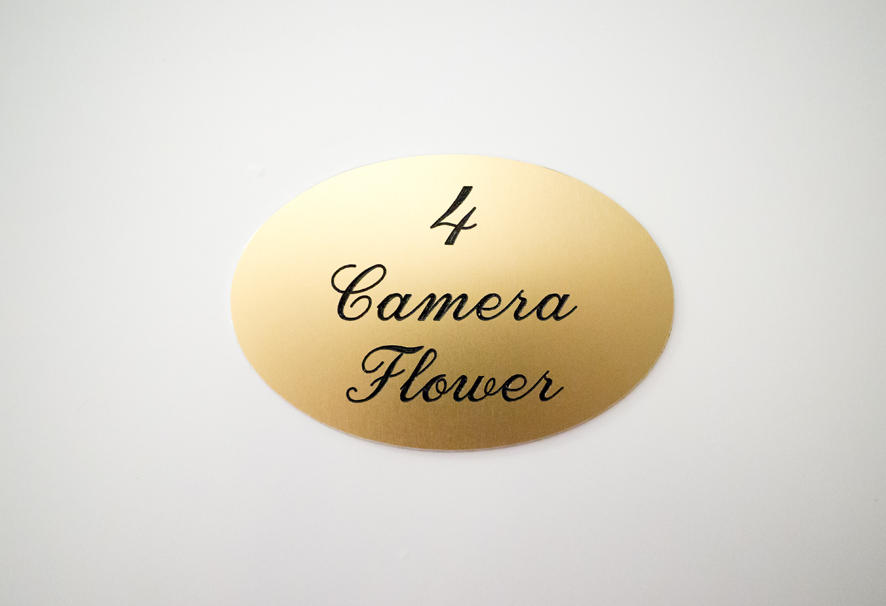 Villa Bellini camera flower