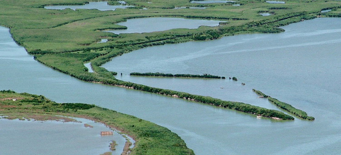 Cosa vedere nel Delta del Po