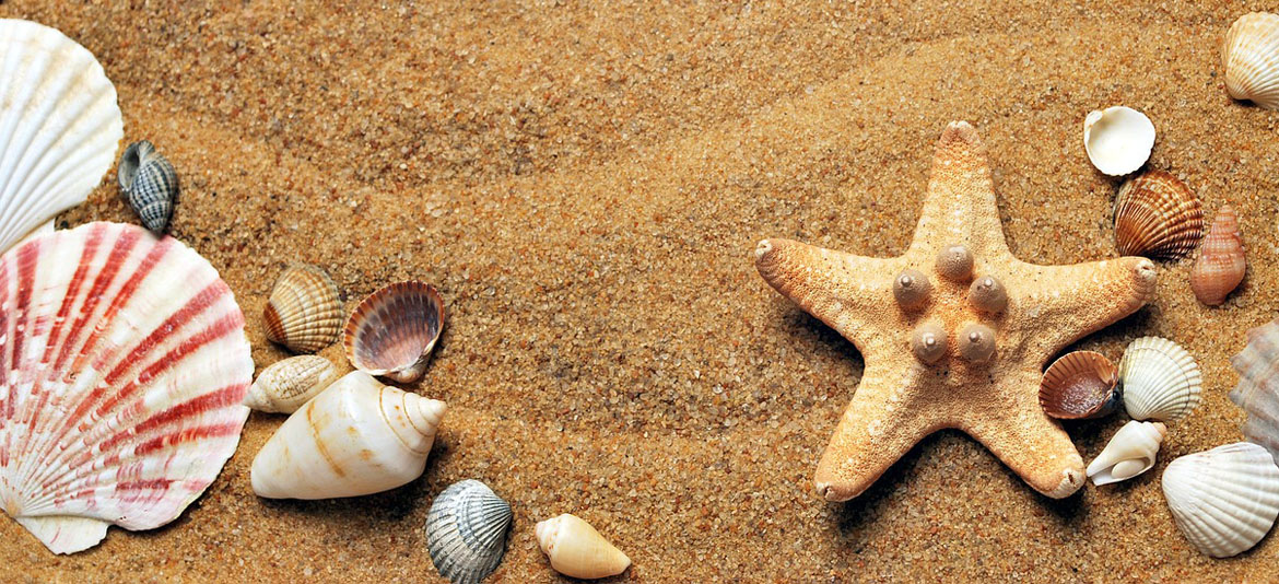 Servizio spiaggia